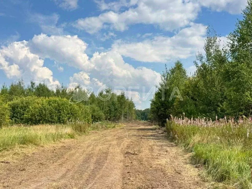 Участок в Тюменская область, Нижнетавдинский муниципальный округ, пос. ... - Фото 2
