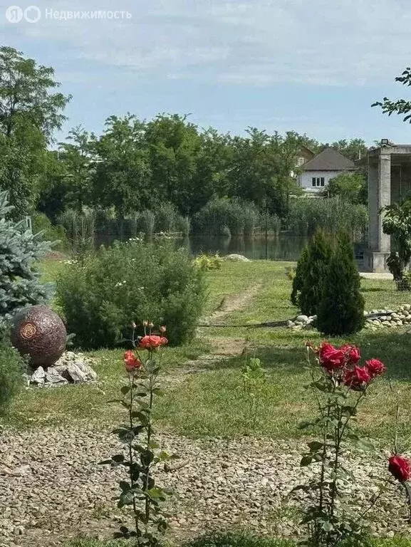 Участок в станица Нововеличковская, Виноградная улица, 26 (33 м) - Фото 2
