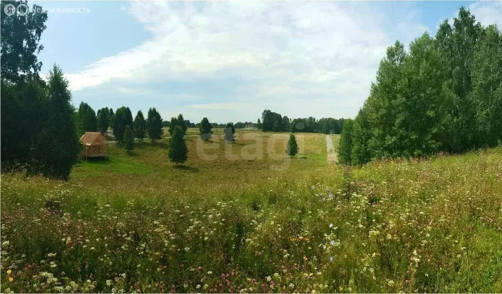 Участок в Новосибирский район, Криводановский сельсовет, село Марусино ... - Фото 1