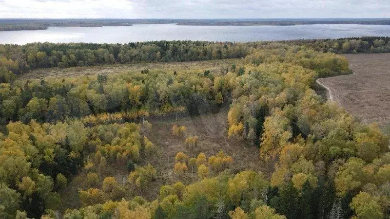 Участок 8,8 сот. (ИЖС) - Фото 1
