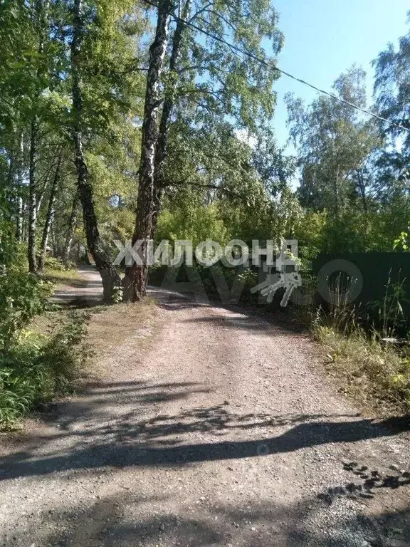 Дом в Новосибирская область, Искитимский район, Совхозный сельсовет, ... - Фото 0