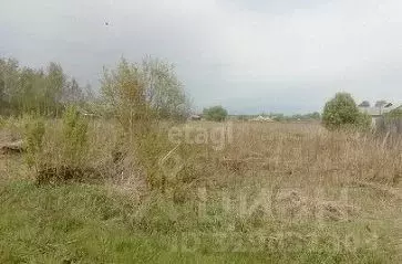 Участок в Ростовская область, Аксайский район, Мишкинская ст-ца ул. ... - Фото 0