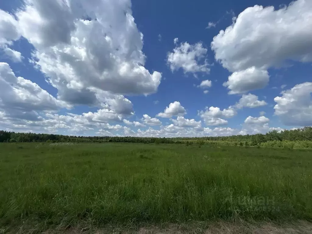 Участок в Московская область, Ступино городской округ, д. Залуги  ... - Фото 1