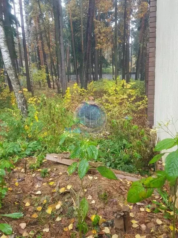 Участок в Московская область, Одинцовский городской округ, пос. ... - Фото 1