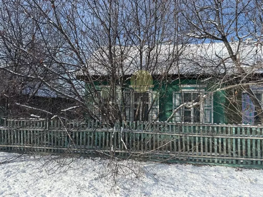 Дом в Иркутская область, Иркутский муниципальный округ, д. Черемушка ... - Фото 2