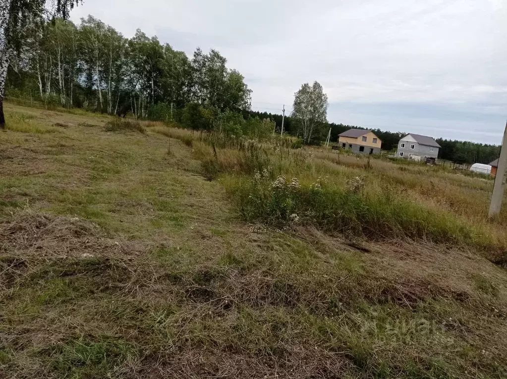 Дом в Омская область, Омский район, с. Надеждино Новая ул., 13 (55 м) - Фото 0