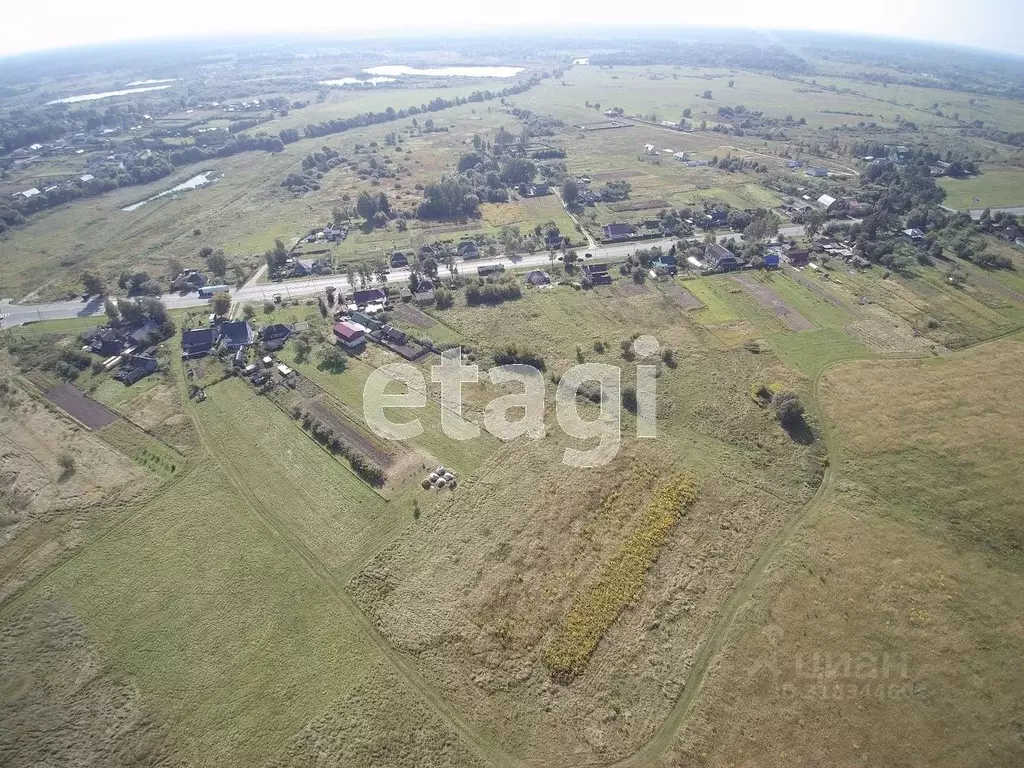 Участок в Брянская область, Выгоничский район, Кокинское с/пос, с. ... - Фото 2