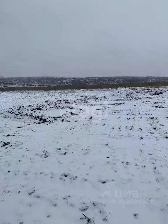 Участок в Белгородская область, Белгородский район, Головинское с/пос, ... - Фото 1