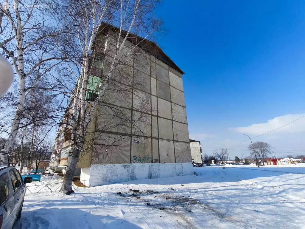 1-комнатная квартира: село Чугуевка, улица Комарова, 19 (38.5 м) - Фото 2