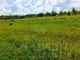 Участок в Калужская область, Малоярославецкий район, Юбилейный с/пос, ... - Фото 0