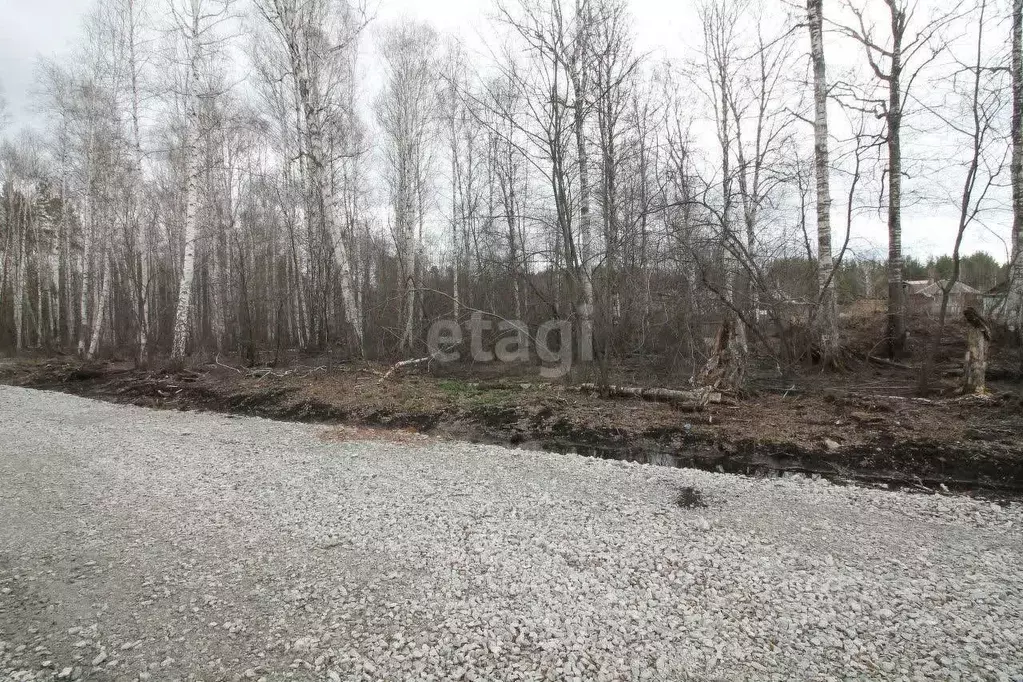 Участок в Свердловская область, Верхняя Пышма городской округ, пос. ... - Фото 1