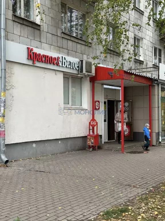 Торговая площадь в Нижегородская область, Нижний Новгород ул. ... - Фото 2