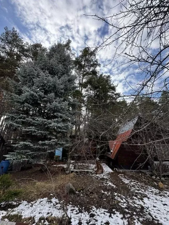 Дом в Свердловская область, Екатеринбург Университет-1 СНТ, 66 (20 м) - Фото 2