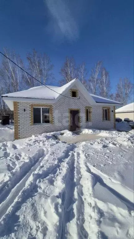 Дом в Амурская область, Благовещенский район, с. Чигири ул. ... - Фото 1