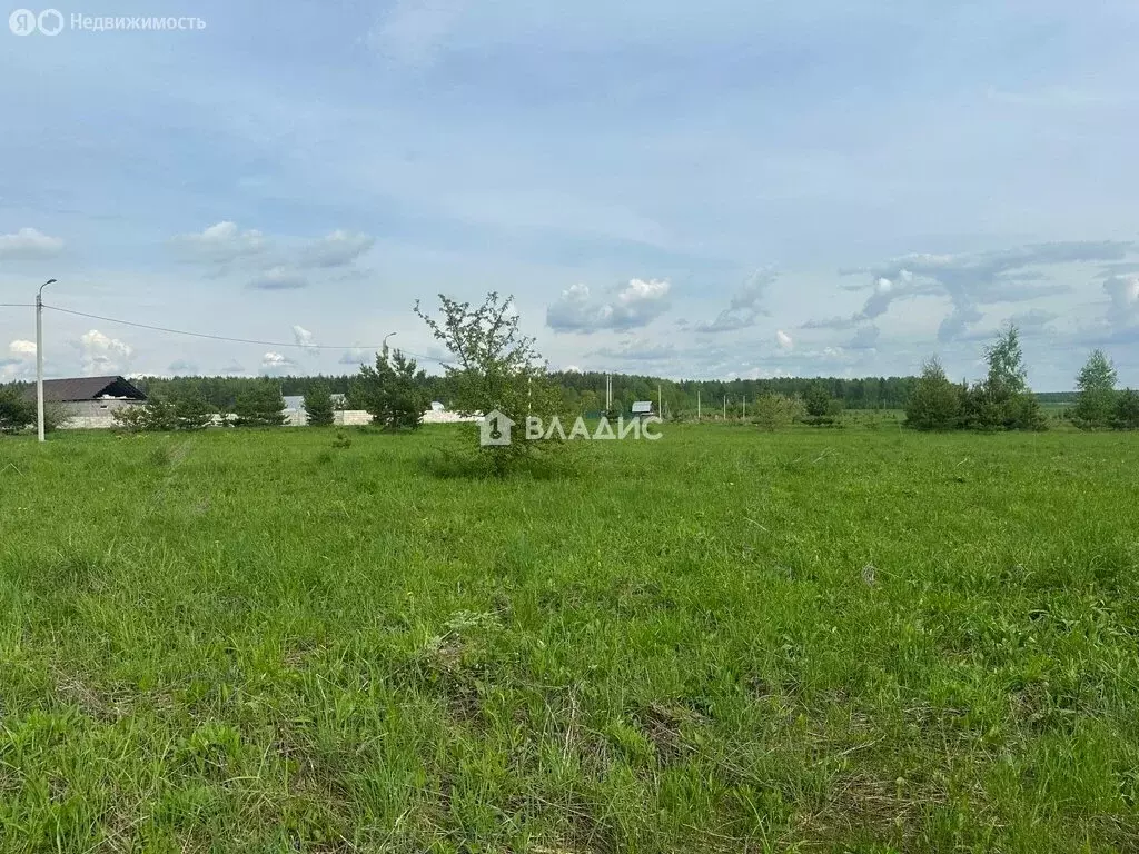 Участок в Московская область, муниципальный округ Егорьевск, деревня ... - Фото 2