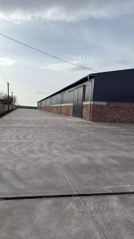 Склад в Краснодарский край, Динской район, Васюринское с/пос, ... - Фото 1