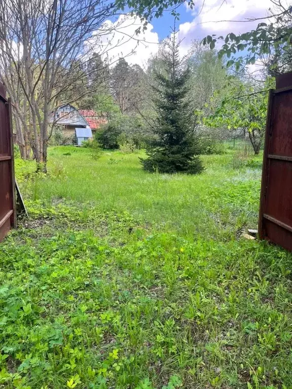 Участок в Московская область, Ступино городской округ, д. Соколова ... - Фото 0