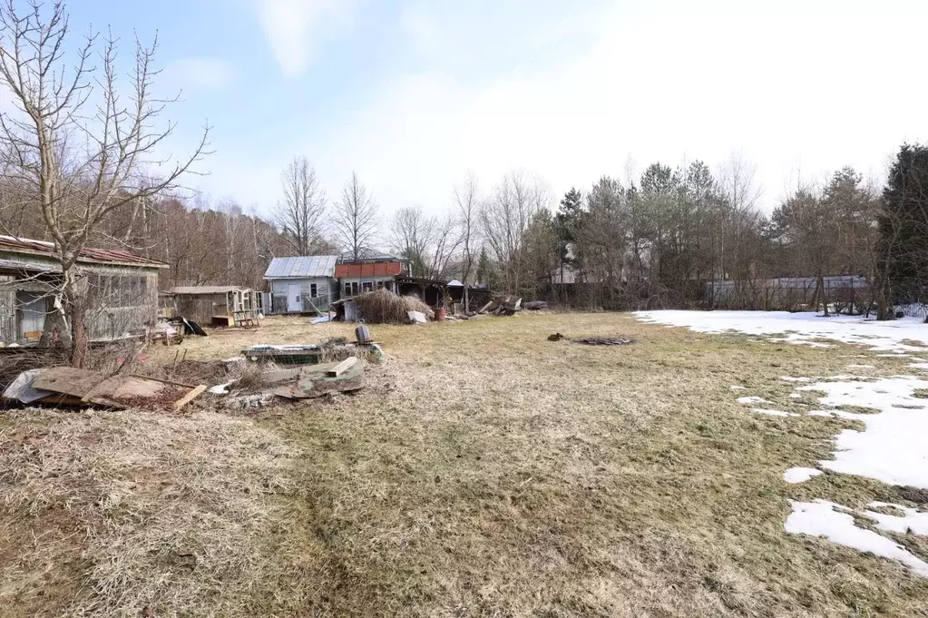 Участок в Московская область, Одинцовский городской округ, д. Митькино ... - Фото 2