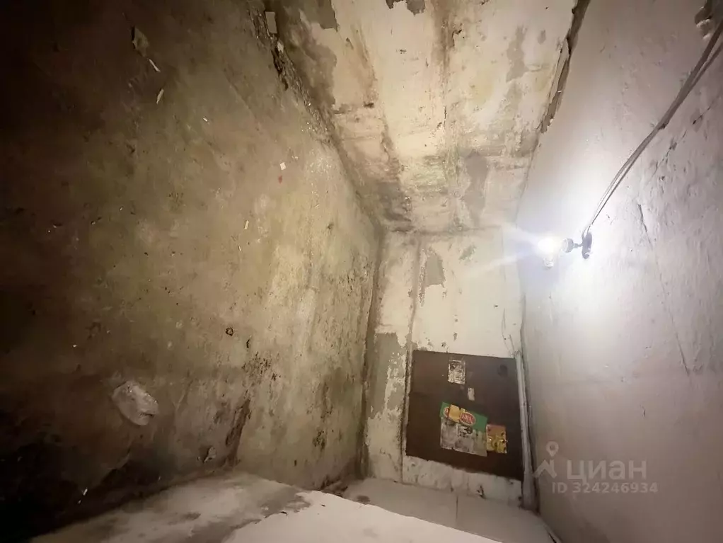 Помещение свободного назначения в Омская область, Омск Привокзальный ... - Фото 2