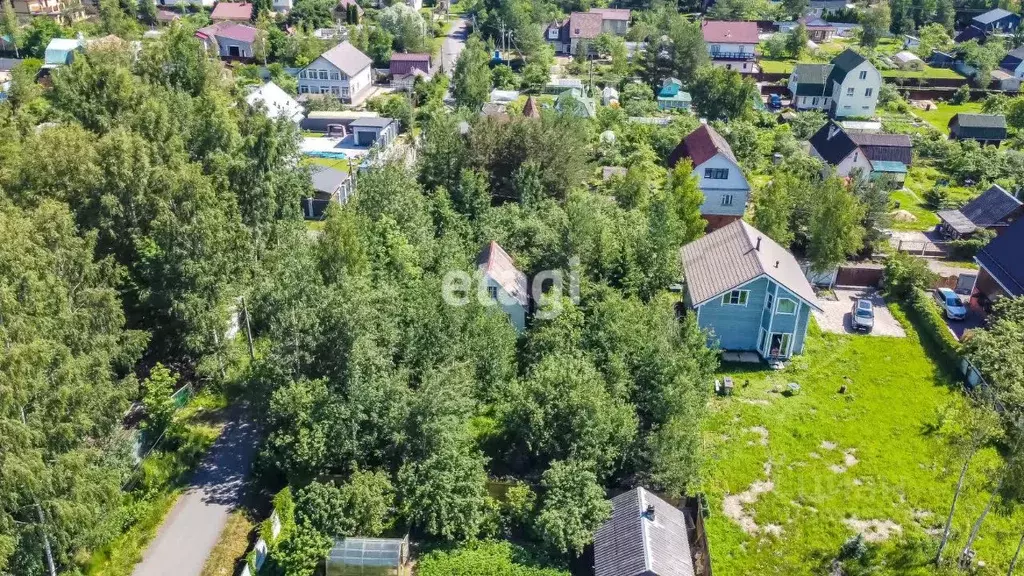 участок в санкт-петербург, санкт-петербург, павловск павловское-1 снт, . - Фото 1