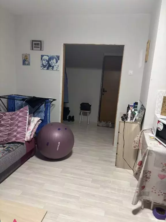 Студия Красноярский край, Красноярск ул. Шевченко, 48 (24.0 м) - Фото 2