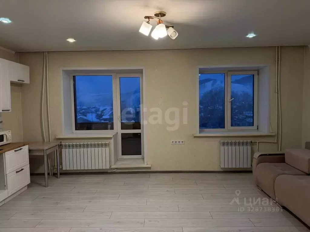 Студия Алтай, Майминский район, с. Майма ул. Мира (35.0 м) - Фото 1