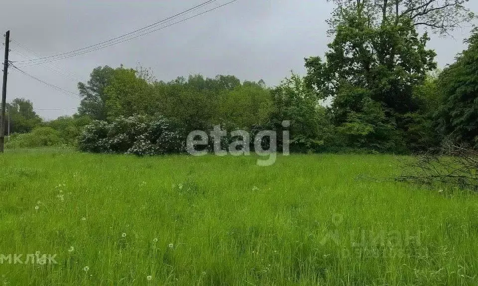 Участок в Калининградская область, Мамоновский городской округ, пос. ... - Фото 1