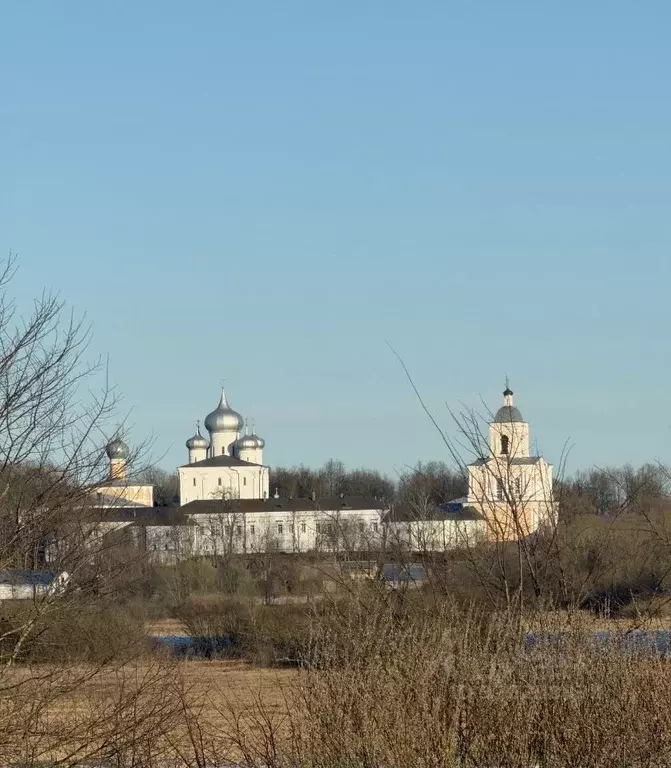 Участок в Новгородская область, Новгородский район, Трубичинское ... - Фото 1