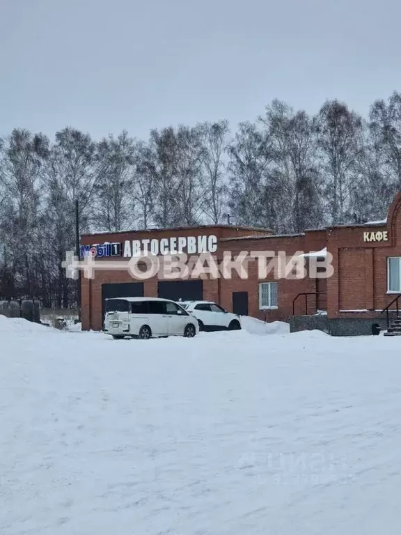 Помещение свободного назначения в Новосибирская область, Искитимский ... - Фото 2