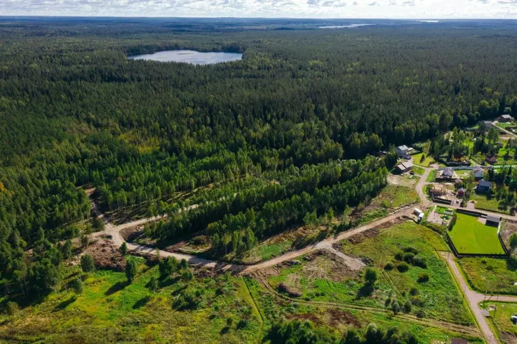 Участок в Ленинградская область, Выборгский район, Приморское ... - Фото 1