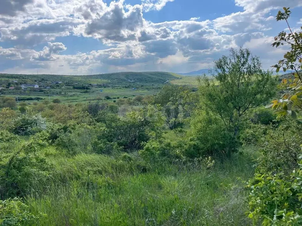 Участок в Крым, Феодосия муниципальный округ, с. Виноградное ул. ... - Фото 1