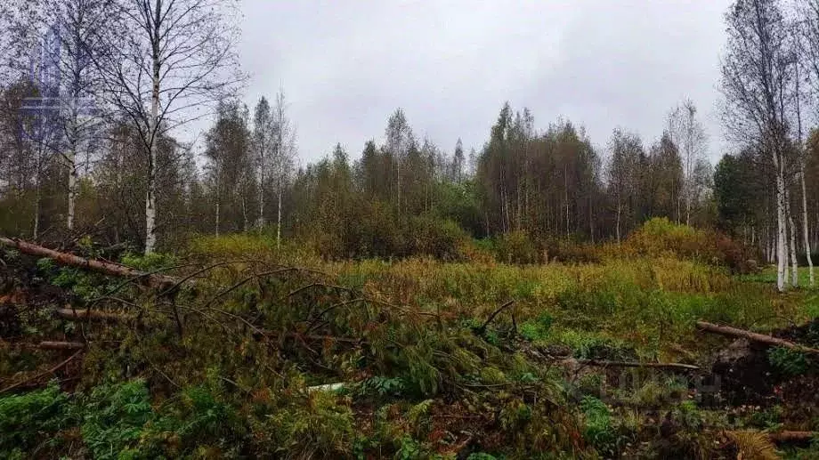 Участок в Ленинградская область, Всеволожский район, Колтушское ... - Фото 0