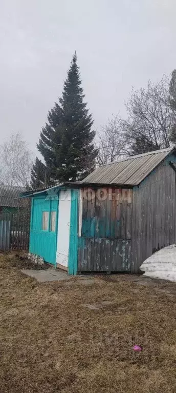 Дом в Новосибирская область, Новосибирский район, Раздольненский ... - Фото 1