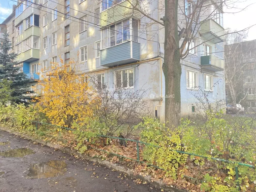 3-к кв. Рязанская область, Скопин ул. Комарова, 10 (62.4 м) - Фото 1