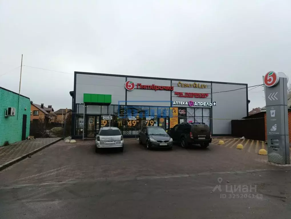 Торговая площадь в Курская область, Курский район, д. Щетинка 53Б (45 ... - Фото 1