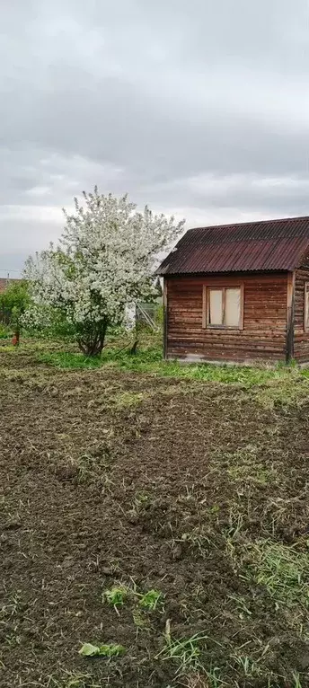 Дом в Новосибирская область, Колыванский район, Надежда СТ ул. 17-я ... - Фото 0