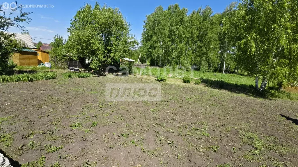 Участок в Бердск, СНТ Ива (8 м) - Фото 0