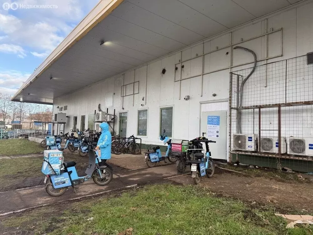 Торговая площадь (252.04 м) - Фото 2