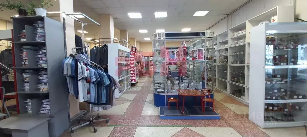 Помещение свободного назначения в Воронежская область, Воронеж ... - Фото 1