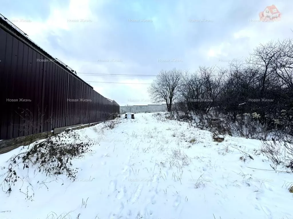 Участок в Московская область, Ленинский городской округ, д. Мамоново ... - Фото 0