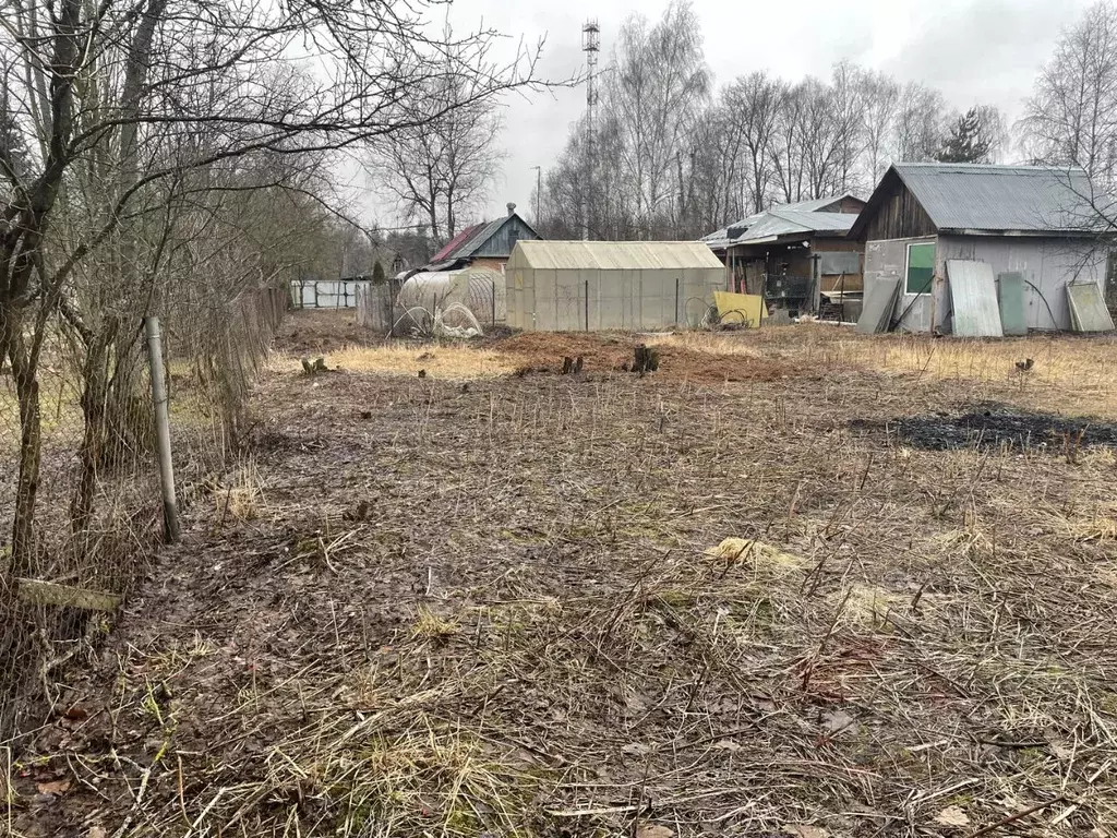 Участок в Московская область, Пушкинский городской округ, Ашукино пгт ... - Фото 1