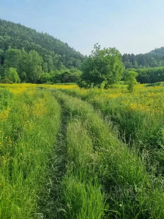 Участок в Сахалинская область, Корсаковский городской округ, с. Лесное ... - Фото 0