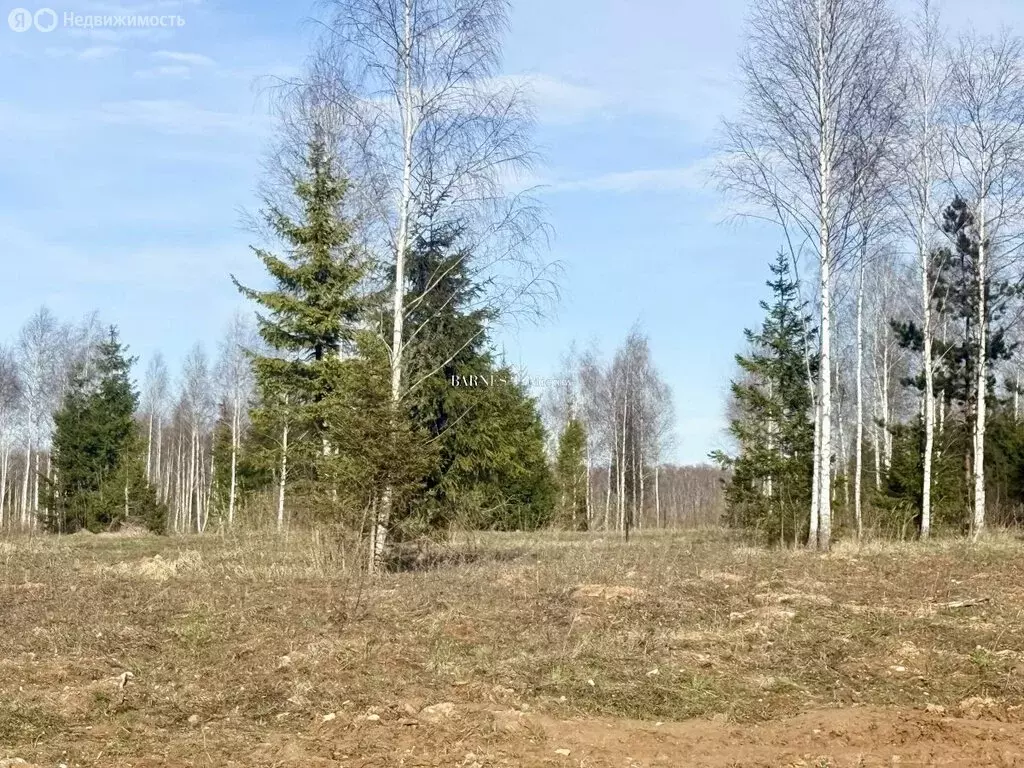 Участок в Москва, ЗАО, район Кунцево, квартал № 450 (45 м) - Фото 0