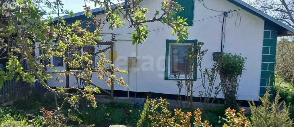 Дом в Равнополье, улица Урицкого (45.8 м) - Фото 2