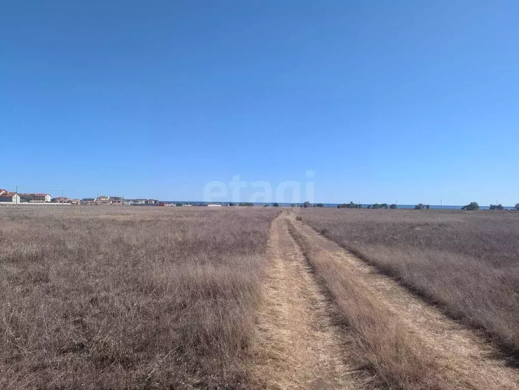 Участок в Крым, Черноморский район, Окуневское с/пос, с. Знаменское  ... - Фото 1