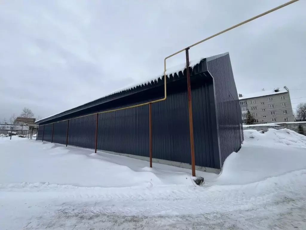 Производственное помещение в Пермский край, Пермский муниципальный ... - Фото 2