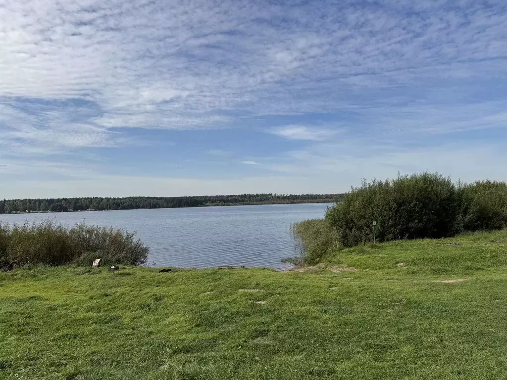Участок в Московская область, Дмитровский муниципальный округ, д. ... - Фото 2