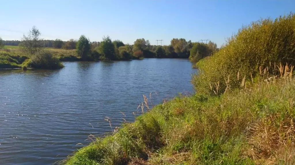 Участок в Московская область, Раменский городской округ, д. Васильево  ... - Фото 1