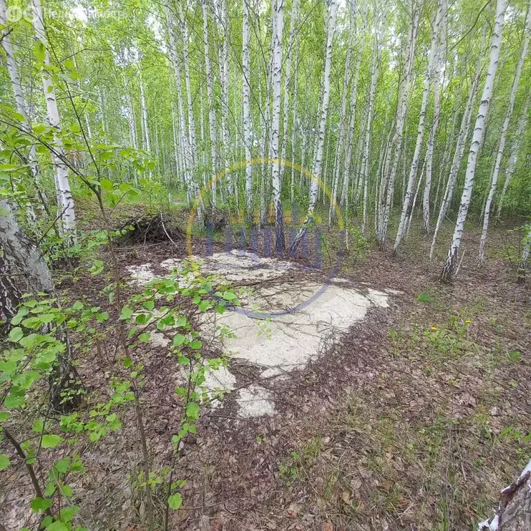 Участок в Красноармейский округ, деревня Камышинка, Рубиновая улица ... - Фото 1
