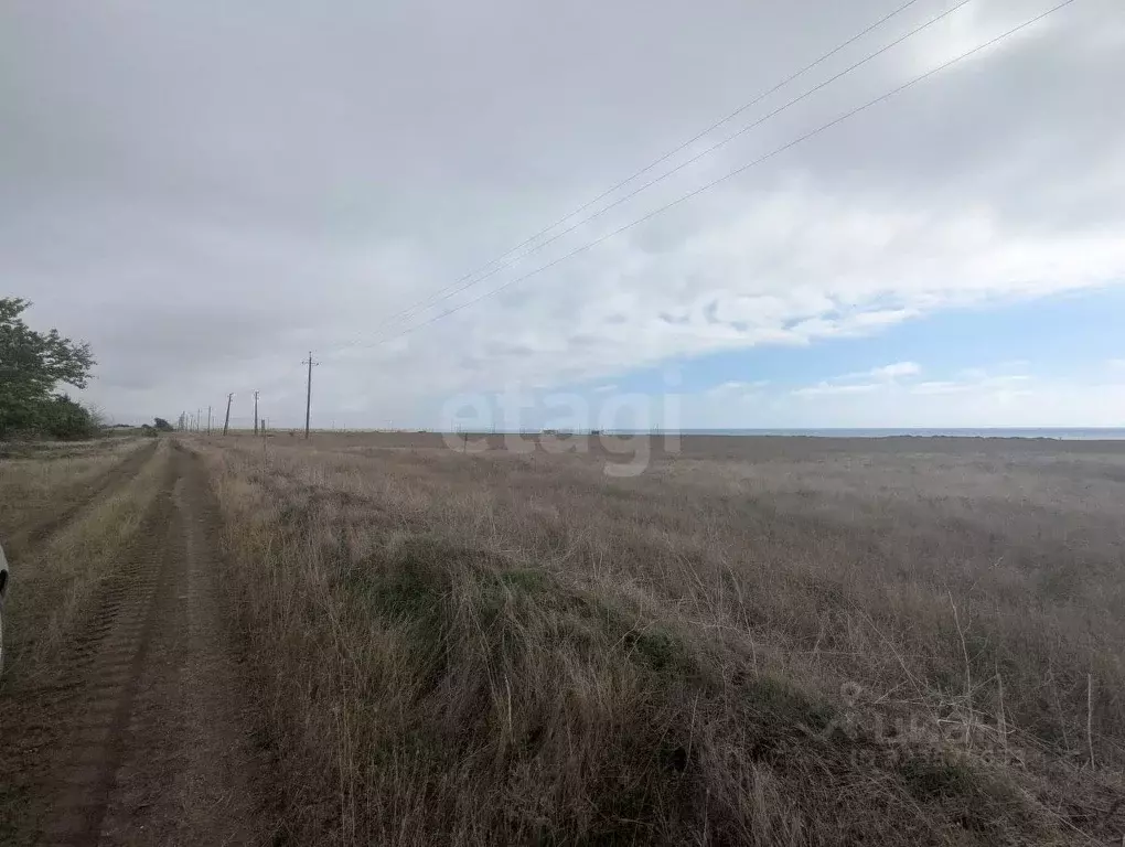 Участок в Крым, Черноморский район, Окуневское с/пос, с. Марьино  (5.0 ... - Фото 1